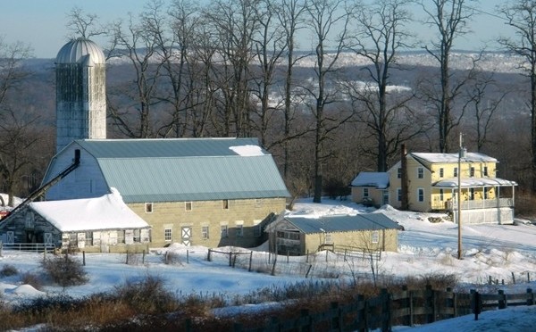 Winter Dairy Farm