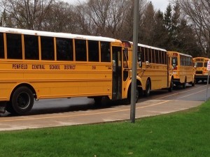 The bus loop at Cobbles Elementary School, part of the Penfield Central School District