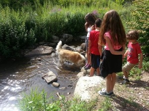 Happy children and dog playing in the stream after hiking Sparta Glen Park