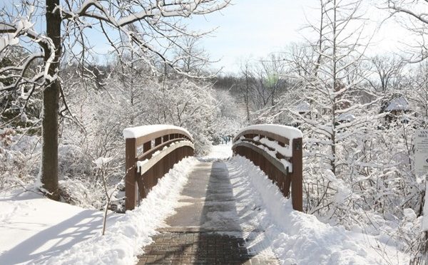 A Snowy Footbridge