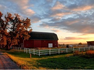 Something about red barns, white fences and autumn sunsets that I find simply irresistible. 