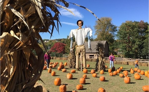 Giant Scarecrow