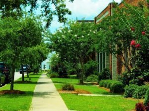 Come take a stroll down the tree-lined streets in Bellegrass