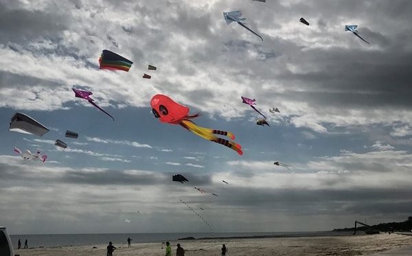 Soaring Kites