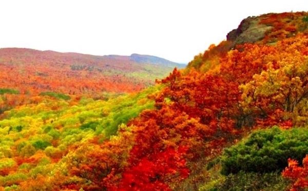 Fabulous Fall Colors
